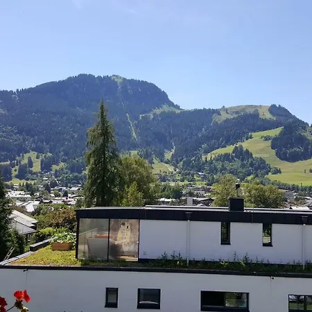 Gaestehaus Wallner 4* 基茨比厄尔